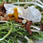 Recette pissenlits aux lardons