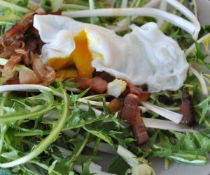 Recette pissenlits aux lardons