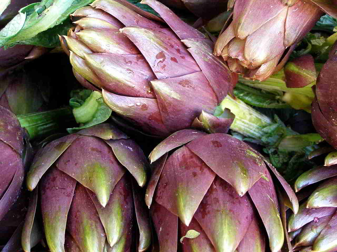 Recette Artichauts alla romana