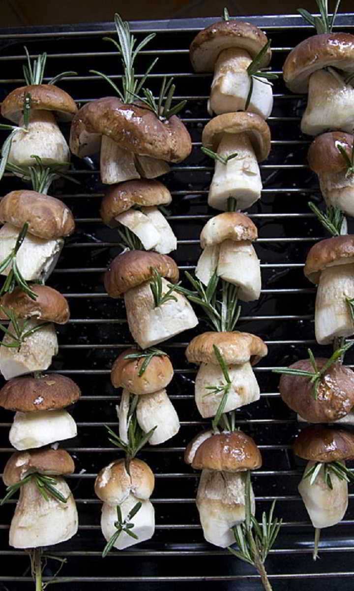 Recette Brochette de bolets au romarin