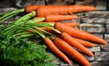 Recette Carottes froides au cumin