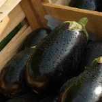 Recette Caviar d’aubergine au cumin