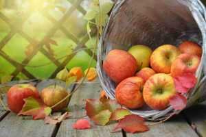 Confiture de pommes à l'ancienne