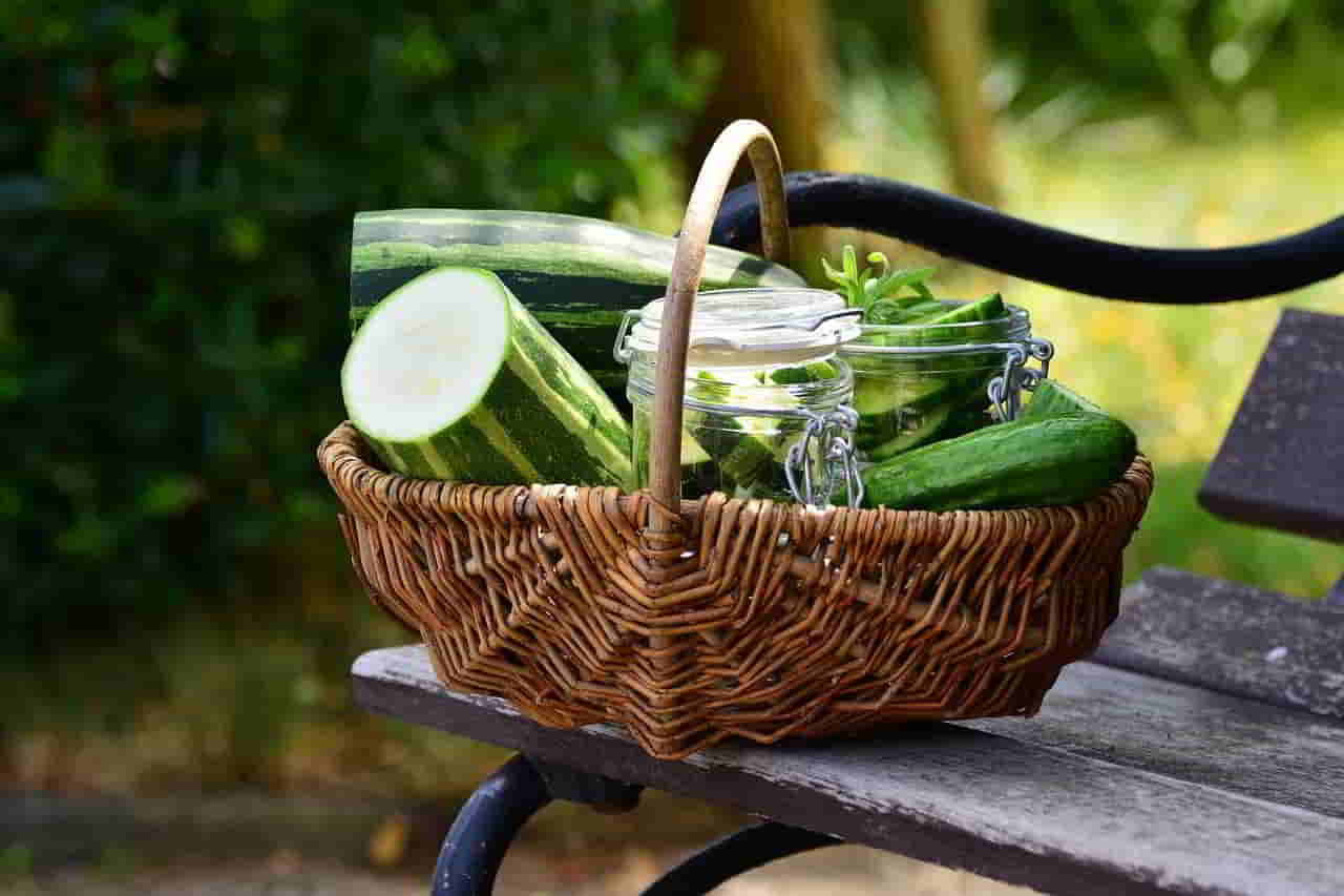 Recette Courgettes râpées à la mozarella