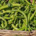 Recette Haricots verts à l étouffée