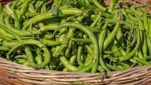 Recette Haricots verts à l étouffée