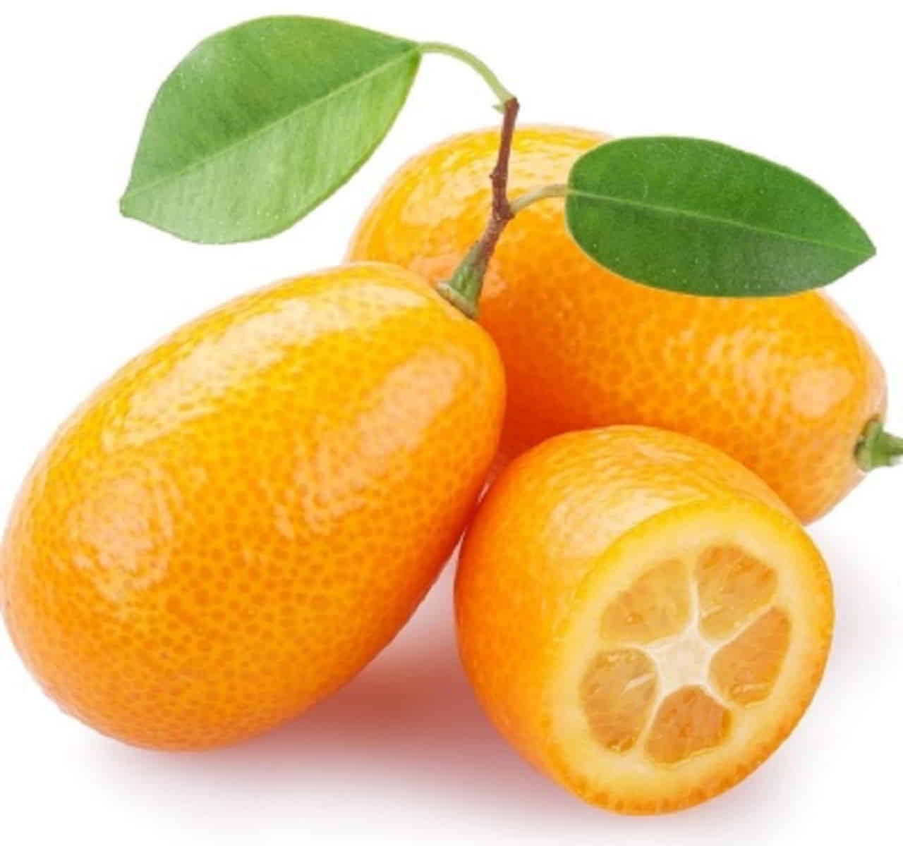 Recette Gâteau au chocolat et aux kumquats confits