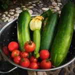 Recette Lamelles de courgettes aux tomates fondantes