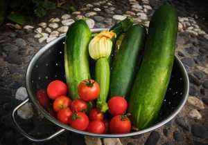 Recette Lamelles de courgettes aux tomates fondantes