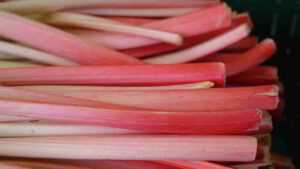 Recette Confiture de rhubarbe amandine