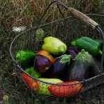 Recette de courgettes, aubergines et poivrons