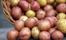 Recette Pommes de terre à l’origan