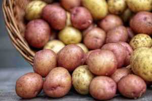 Recette Pommes de terre à l’origan