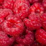 Recette Sirop de framboise