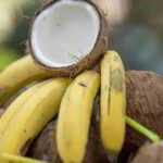 Recette Tarte soufflée bananes-noix de coco