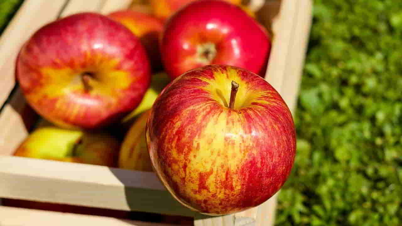 Recette Tarte aux pommes et aux pignons