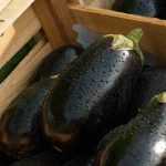 Recette Terrine d’aubergines facile