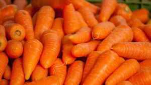 Recette Terrine de carottes au lard fumé