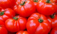 Recette Tomate farcie au yaourt