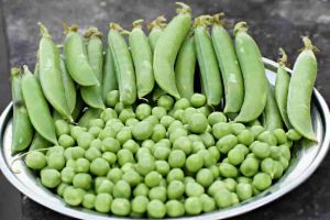 Recette Tourte aux petits pois