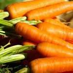 Recette Salade de carottes épicées