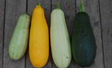Recette Sandwich apéro aux courgettes et coppa