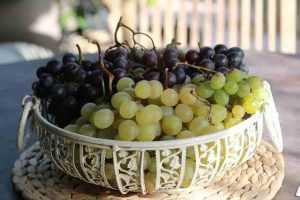 Recette Tarte bicolore aux raisins