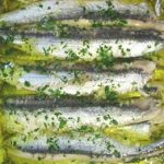 Recette anchois en persillade