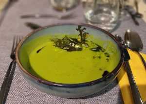 potage aux haricots verts