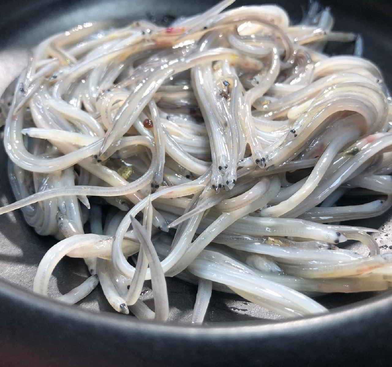 Recette de Pibales ou civelles