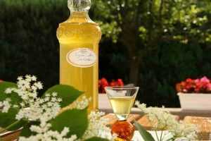 Recette Vin de fleurs Sureau,