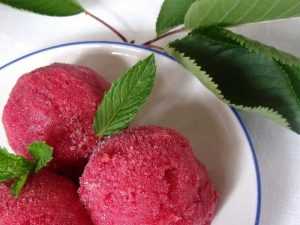 Recette sorbet à la griotte