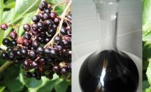 Recette Vin de baies de sureau noir