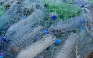 Bouteilles plastiques polluantes