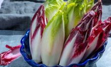 Endives rouges et blanches