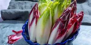 Endives rouges et blanches