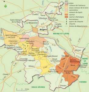 Les vins de et les mets du Val de Loire: Anjou et Saumurois