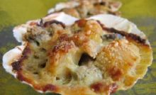 Recette Gratin d’huîtres et Saint-Jacques au magret fumé