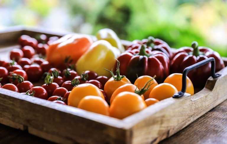 Fruits et légumes colorés