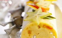 buche glacee aux fruits- recette express