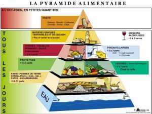 Pyramide alimentaire