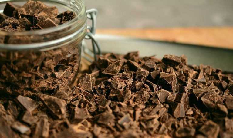 Tout sur le chocolat