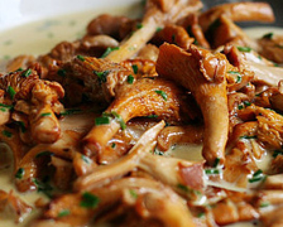 Recettes Girolles Fraiches En Fricassee