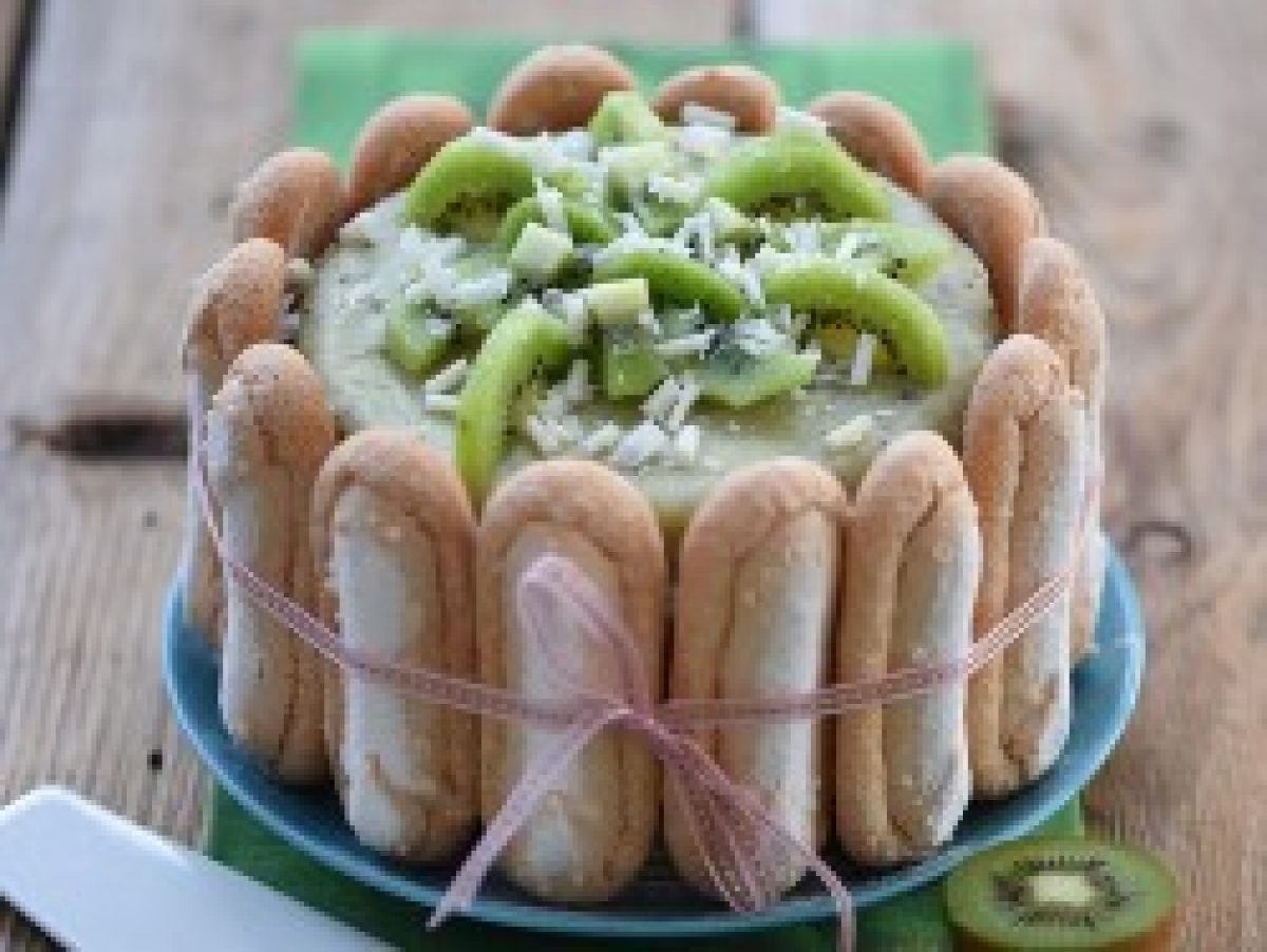 Charlotte Au Chocolat Blanc Et Coulis Aux Kiwis Recettes Et Terroirs