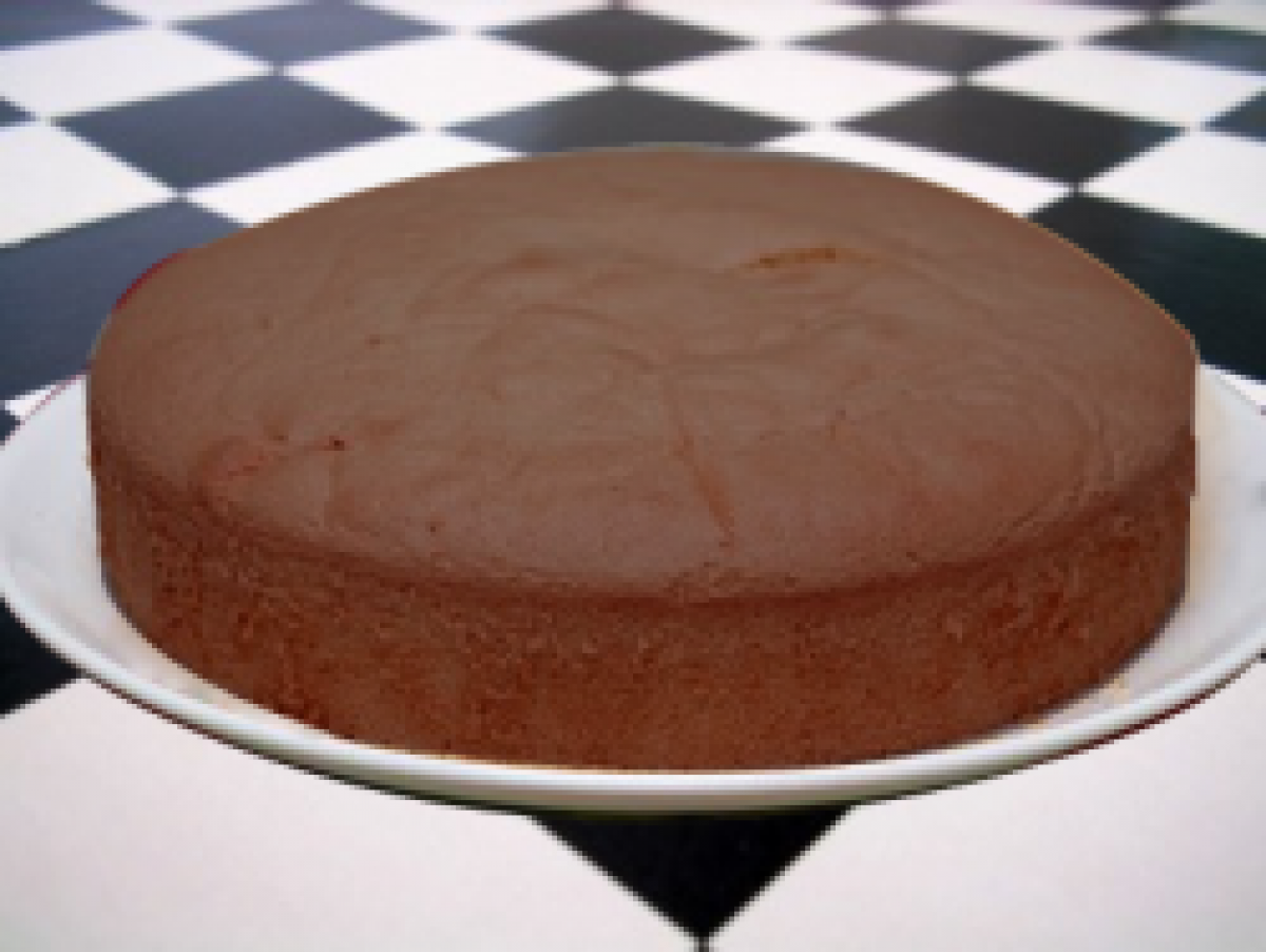 Gateau De Savoie Nature Ou Au Chocolat Recettes Et Terroirs