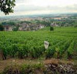 Vin de la Côte de Nuits Villages