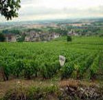 Vin de la Côte de Nuits Villages