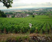 Vin de la Côte de Nuits Villages