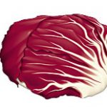 Radicchio