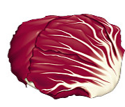 Radicchio